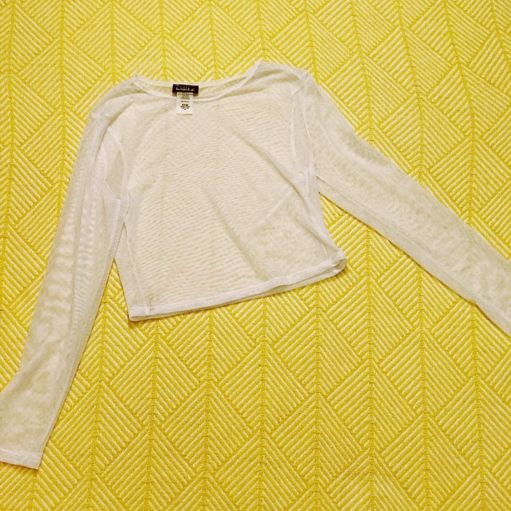 Mesh Crop Top